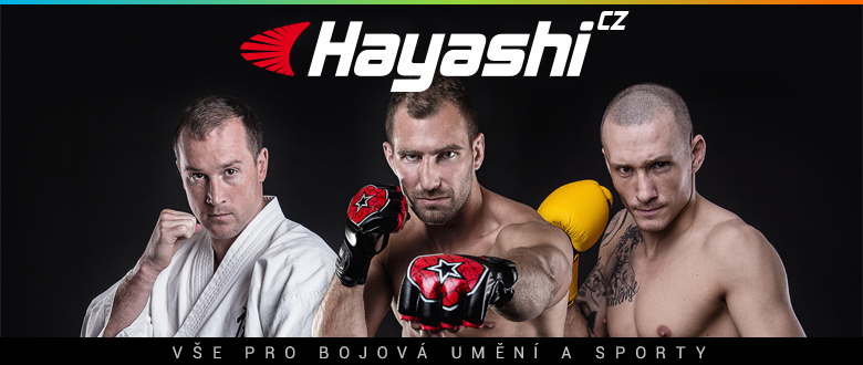 hayashi-780x330